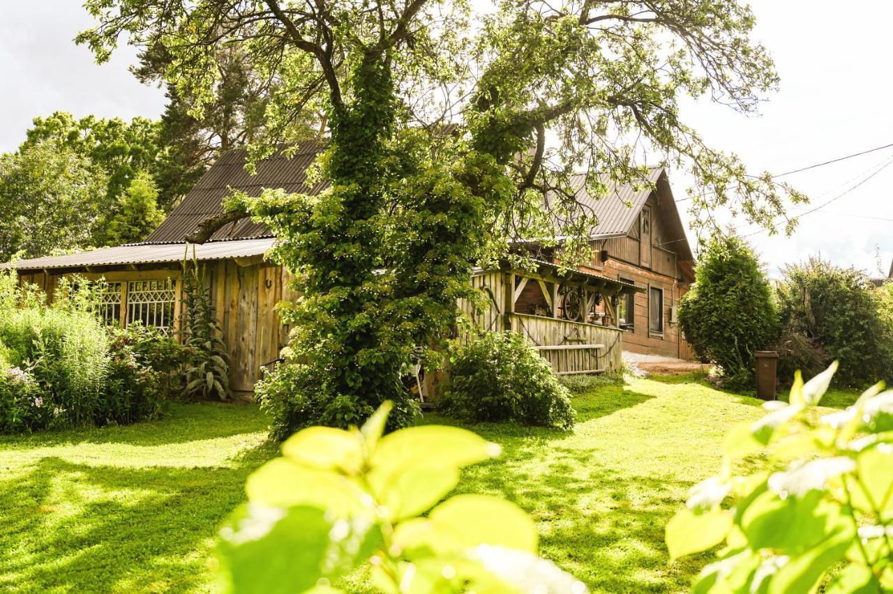 Idilliska Latgaliesu Lauku Maja Ar Melno Pirti Aglona Exterior foto